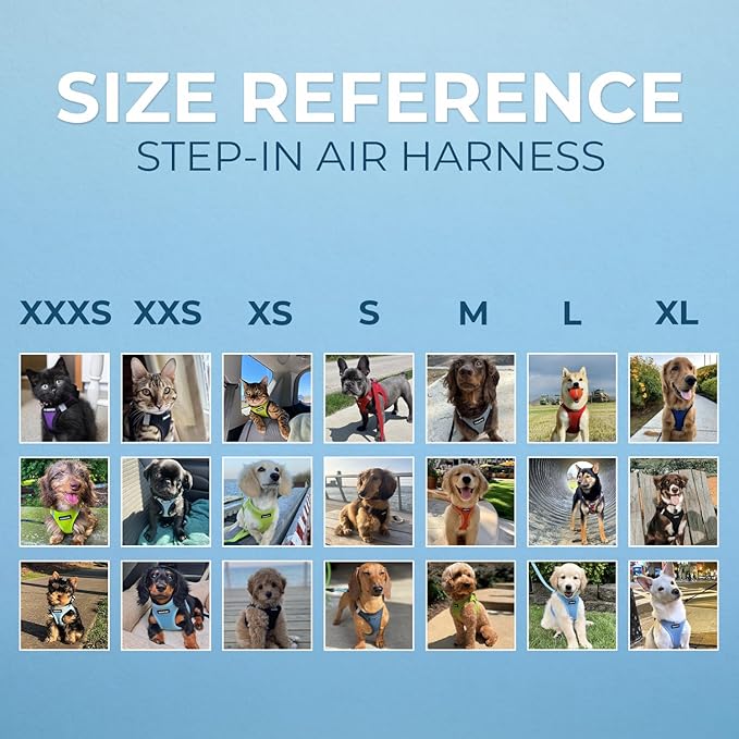 Best Pet Supplies Voyager Step-in Air Harness - All Weather Mesh, Reflective, No Pull Harness for Dogs, Cats - Secure with Hook & Loop Fastener, Buckle, Double D-Rings - Lime Green, XXXS