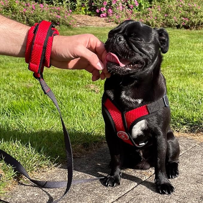 Gooby Soft Mesh Wrist Band Surfer Leash - Brown, 6 FT - Comfortable Hands Free Leash with Elastic Band for Small, Medium and Large Dogs