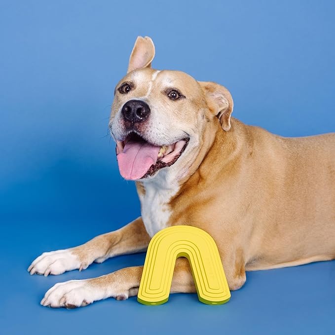 Fringe Studio Color ME Happy Yellow Rubber Dog Toy, Pet Shop Collection (518037)