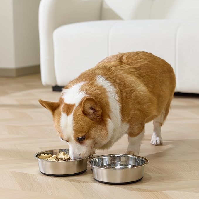 Dog Bowls Durable Heavy Duty Stainless Steel Dog Bowls Non-Slip Basic Bowl for Dogs with Rubber Base (2 Pack, 3 Cups)