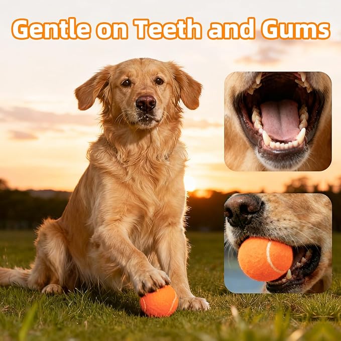 2.5" Dog Tennis Balls 6-Pack Silent Bounce, Tough Rubber Core, Durable Fetch & Training Toys for Indoor/Outdoor Play, for Small Medium Large Dogs (Orange, 6 Pack)