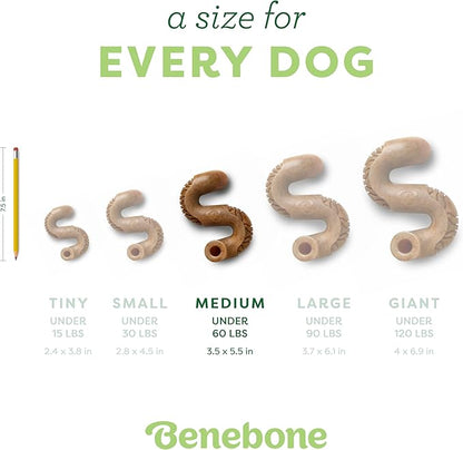 Benebone Tripe Bone Durable Dog Chew Toy for Aggressive Chewers, Real Tripe, Made in USA, Medium