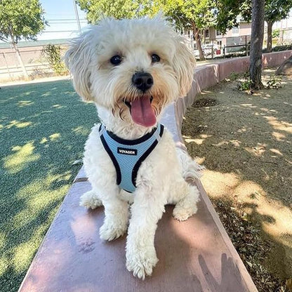 Best Pet Supplies - All Weather Mesh / Plush, Reflective, No Pull Harness for Small, Medium Dogs, Cats - Secure with Hook & Loop Fastener, Buckle, Double D-Rings - Baby Blue/Black Trim, XS