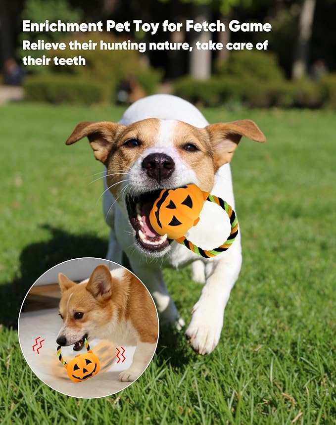 Deeow Alieen Dog Frisbee for Fetch and Orange Jack-o-Lantern Pet Toys, Teething Clean Outdoor Flying Disc and Halloween Pumpkin Pet Toy, Interactive Squeaky Dogs Toy for Water, Park, Beach Fun