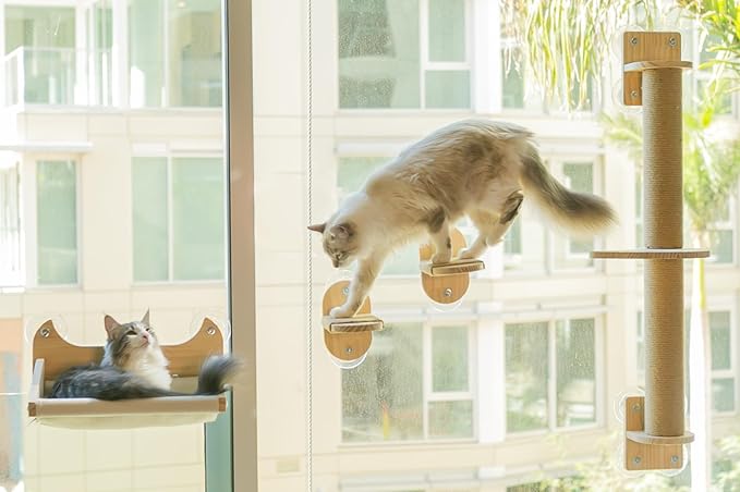 4-in-1 Window & Wall Mount Cat Wall Shelves – Hammock, Scratching Post & Perch | Fits up to 40 lbs | Space-Saving Pet Furniture for Windows, Glass & Drywall | Modern Wood Cat Shelf Set