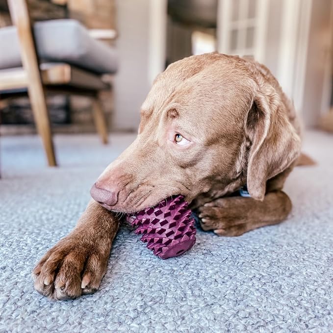 Tall Tails Pinecone Natural Rubber Reward Toy for Dogs - Use for Spreadables Treats and Kibble Play