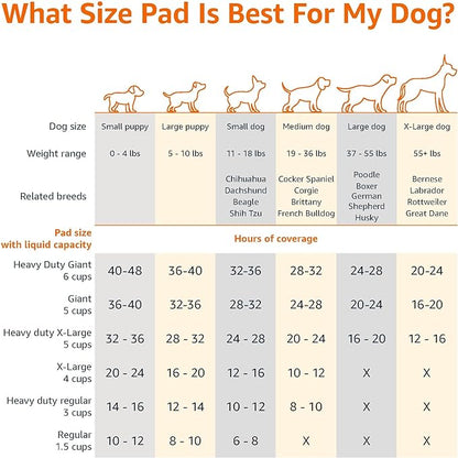 Amazon Basics Puppy Pads, Heavy Duty with 5-Layer Leak-Proof Design, Quick-Dry Surface, Built-In Attractant Potty Pads for Dogs, X-Large, 34 x 28 in., 10-Count