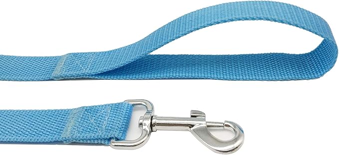 TAIAN 4 FT Strong Dog Leash, Nylon Dog Leashes for Small Medium Large Dogs Blue