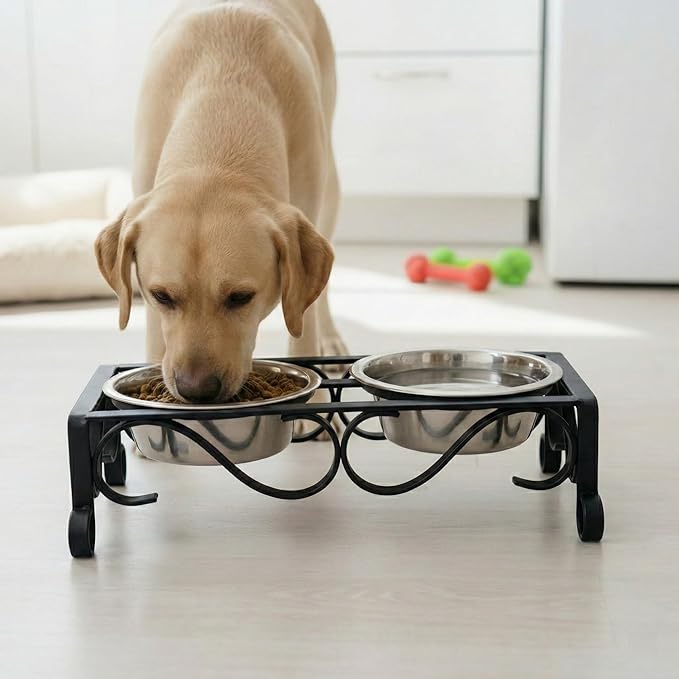 Loving Pets Elevated Dog Bowls – Raised Stainless Steel Dog Bowls with Steel Stand – Non-Skid, No Spill Feeder for Small, Medium & Large Dogs – Easy to Clean, Durable Raised Dog Feeding Station