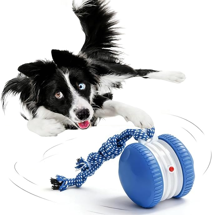 Interactive Dog Toy – Automatic Electric Rolling Ball with Rope, Motion-Activated Play, Random Movement, Rechargeable, Ideal for Boredom Relief for All Dog Sizes