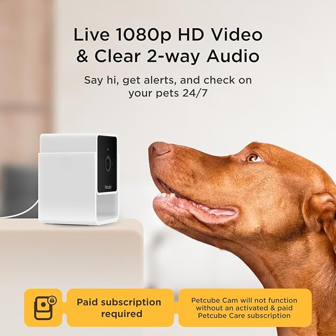 Petcube Cam and Care Coverage Subscription | Indoor Wi-Fi Pet and Security Camera with Phone App, Cats and Dogs Monitor with 2-Way Audio and Video, Night Vision