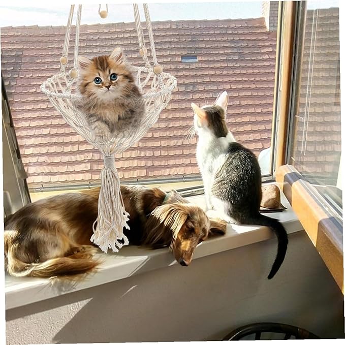 Kichvoe Bohemian Woven Hanging Cat Hammock Wear-Resistant 40cm Pet Nest for Indoor Cats to 30lbs Decorative Kitten Accessory
