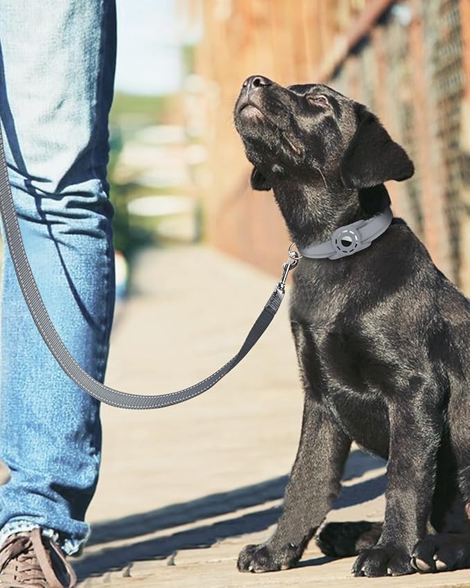 Reflective Dog Leash 4ft Soft Padded Handle Nylon Lead for Small & Medium Dogs, Durable Walking Training Leash for Night Safety (Gray,3/4Inch Wide)