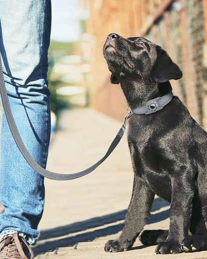 Reflective Dog Leash 4ft Soft Padded Handle Nylon Lead for Small & Medium Dogs, Durable Walking Training Leash for Night Safety (Gray,3/4Inch Wide)
