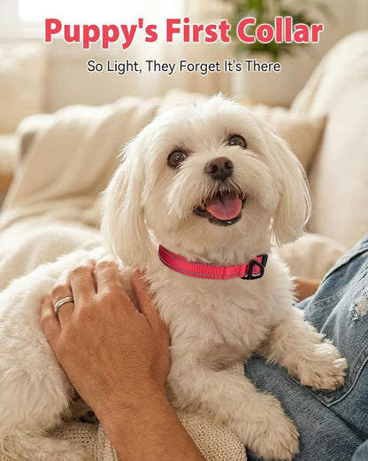 Joytale Dog Collars for Small Dogs, Feather-Light Double-Sided Reflective Nylon Collar for Night Safety, Adjustable Quick-Release for Growing Puppies, Red, S (5/8" Width)