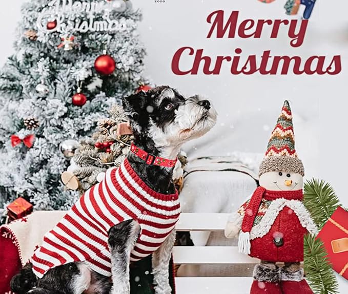 Christmas Dog Collar - Premium Adjustable Dog Collar for Small Medium Large Dogs (Christmas, S)