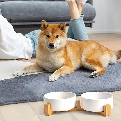 Kimdio Ceramic Dog Bowls with Wood Stand, 13.5OZ Pet Bowls Set of 2 for Medium Small Dogs and Cats - Non-Slip Base Cute Pet Food & Water Basic Bowls Glaze Matte-White