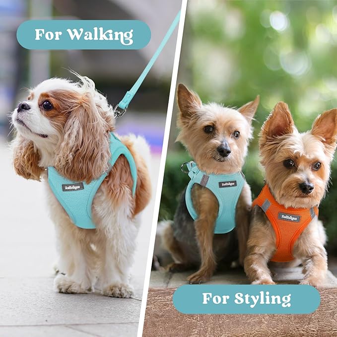rabbitgoo Small Dog Harness, Step-in Soft Mesh Puppy Vest with Safety Buckle, Breathable Reflective Pet Harness for Extra Small Dogs, Mint Blue XXXS