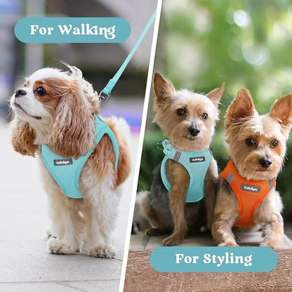 rabbitgoo Small Dog Harness, Step-in Soft Mesh Puppy Vest with Safety Buckle, Breathable Reflective Pet Harness for Small Sized Dogs, Mint Blue S