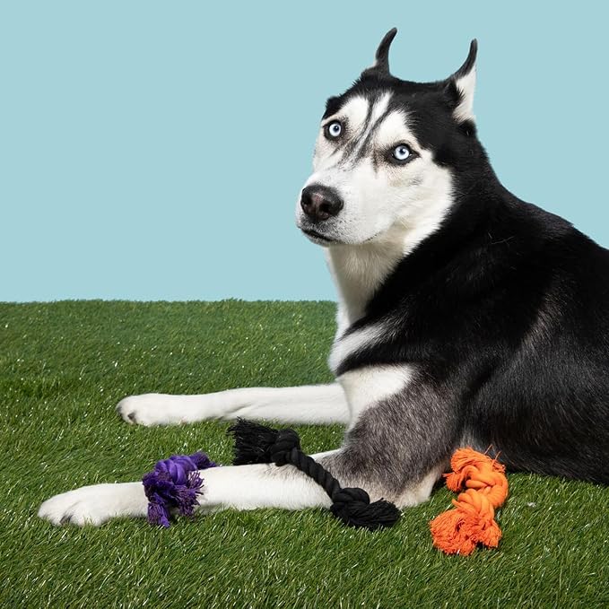 Tumbo Halloween Closeout Tiny Tosser Dog Rope Bones, Holiday Favorites and Many Colors (Orange, Black, Purple, Halloween)