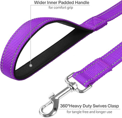 FunTags 6FT Reflective Dog Leash with Soft Padded Handle for Training,Walking Lead for Medium & Small Dogs,3/4 Inch Wide,Purple