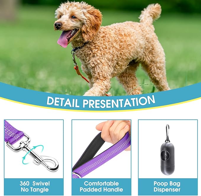BAAPET 5 Feet Nylon Dog Leash with Triple Reflective Threads and Comfortable Padded Handle for Walking, Training Lead Small Puppy, Medium and Large Dogs (1.0'' x 5 FT, Purple)
