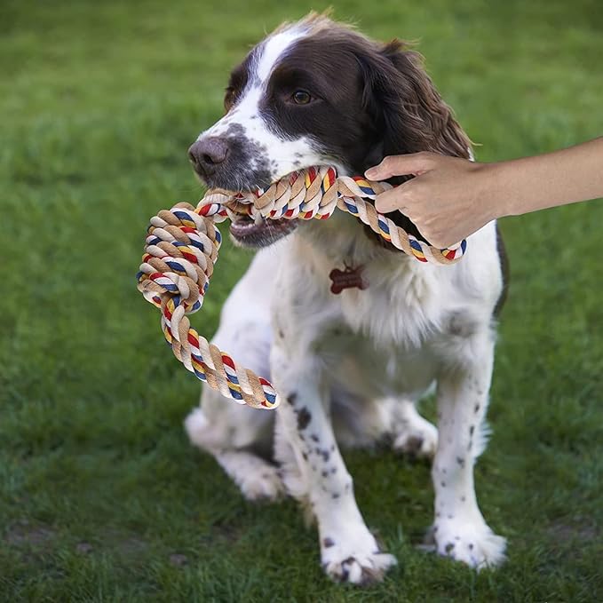 PawfectPals Indestructible Tough Twisted Dog Chew Rope Toy Teething and Tug of War for Large Dogs (Double Grip Loops and Knots)