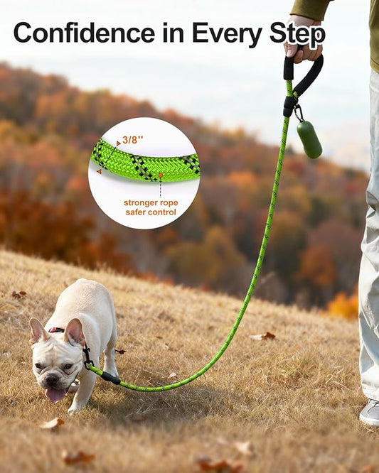 Joytale Dog Leash for Small Dogs, Heavy Duty Nylon Leashes with Comfortable Padded Handle and Highly Reflective Threads, Ideal for Walking and Training, Green, 6'×3/8''