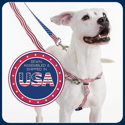 2 Hounds Design Freedom No Pull Dog Harness, Adjustable Harness, Easy Walking & Comfortable Control, Fits Small, Medium & Large Dogs, Solid Colors, Made in USA, 1" MD, Burgundy