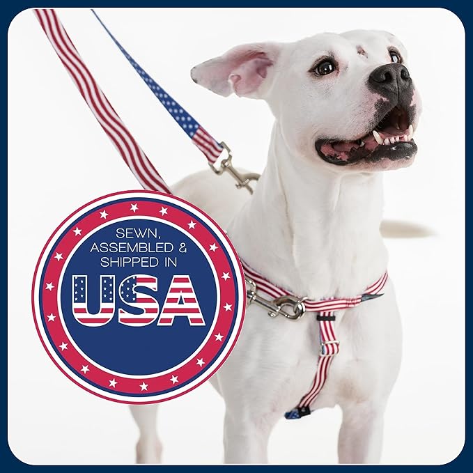 2 Hounds Design Freedom No Pull Dog Harness, Adjustable Harness and Leash Set, Easy Walking & Comfortable Control, Fits Small, Medium & Large Dogs, Solid Colors, Made in USA, 1" XL, Teal