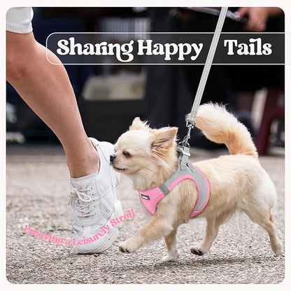 rabbitgoo Dog Harness Small Sized and Leash Set, Step in Soft Light Puppy Vest, Breathable Mesh Pet Harness, Reflective for Safe Easy Walking, Pink & Gray XS