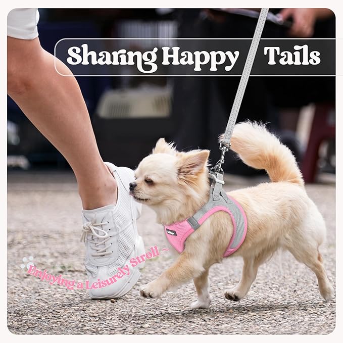 rabbitgoo Dog Harness Small Sized and Leash Set, Step in Soft Light Puppy Vest, Breathable Mesh Pet Harness, Reflective for Safe Easy Walking, Pink & Gray M