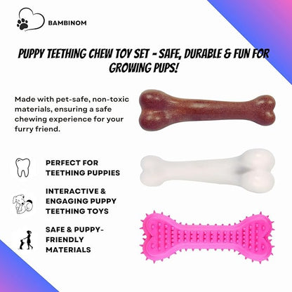 Durable Dog Bone Chew Toy for Small Breeds, Squeaky, Puppy Chew Bone, Supports Dental Health & Teething Relief, 4.5”, Pack of 3 for Small to Medium Dogs