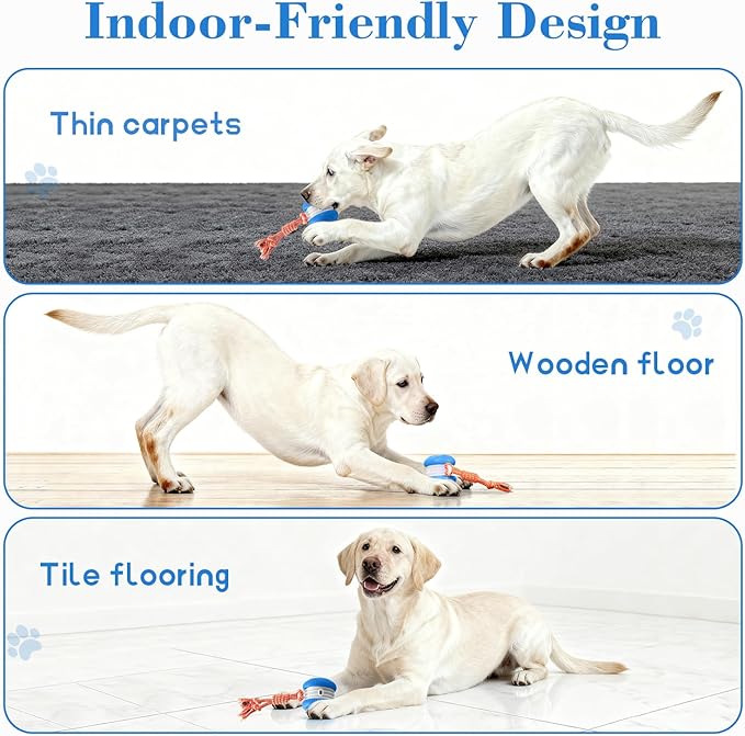 Interactive Dog Ball, Random Path Electric Automatic Moving and Rolling Dogs Toy with Rope for Small Medium Large Dogs, Motion-Activated Dog Stimulation Toy for Boredom Relief (Blue)