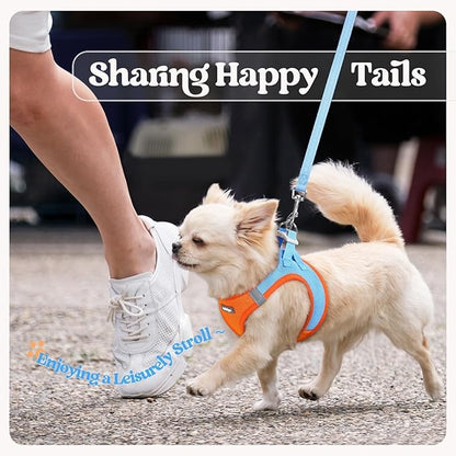 rabbitgoo Dog Harness Medium Sized and Leash Set, Step in Soft Light Puppy Vest, Breathable Mesh Pet Harness, Reflective for Safe Easy Walking, Blue & Orange XXL