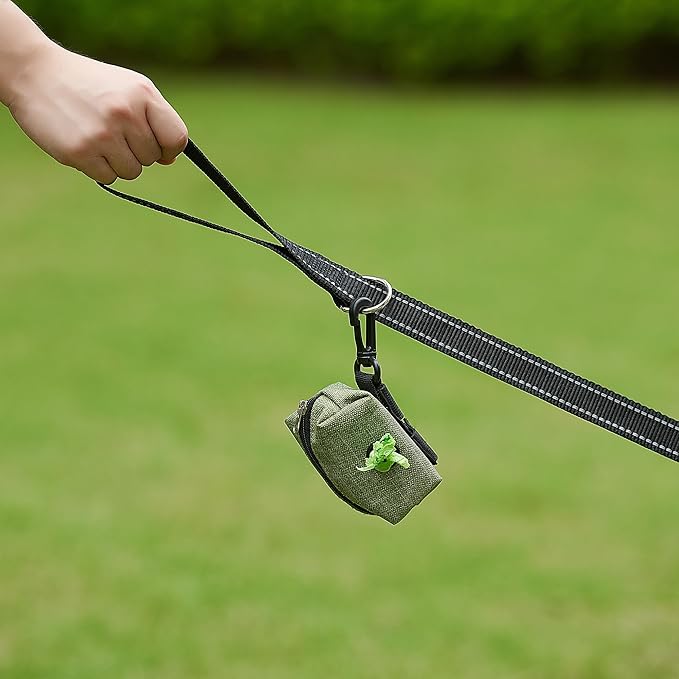 6FT Reflective Dog Leash for Large&Medium and Small Dogs,Nylon Leashes for Walking and Training,6 Foot Leash with D Ring, 6 FT (1 inch X 6FT, Black)