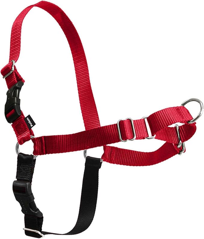 PetSafe Easy Walk No-Pull Dog Harness - The Ultimate Harness to Help Stop Pulling - Take Control & Teach Better Leash Manners - Helps Prevent Pets Pulling on Walks, Small/Medium, Red/Black