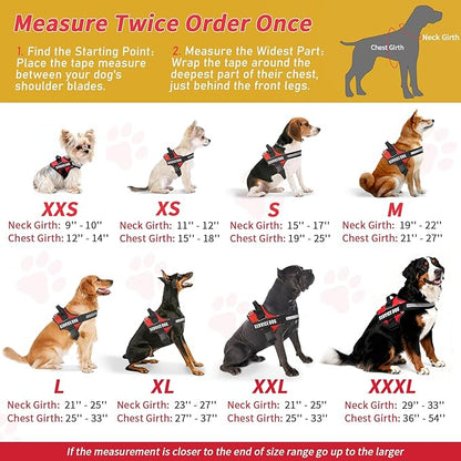 Service Dog Vest, ID Tag + 50 ADA Information Cards, Service Dog Harness in Sizes X Small to XX Large, Metal Dog Tag has Ruggedized Clip, 2-Sided Service Animal Cards,ESA Accessory Set Small