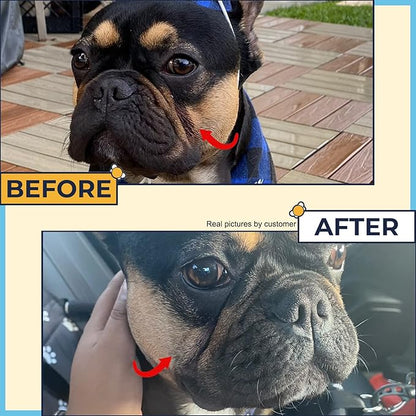 Wrinkle Wipes for French Bulldog, English Bulldog & Pug -100% Organic Extracts Dog Wrinkle Wipes to Soothe Wrinkles- Dog Face Wipes Cleaning Alcohol Free- Say Bye to Rash w/ Paste For Bulldogs Wrinkle