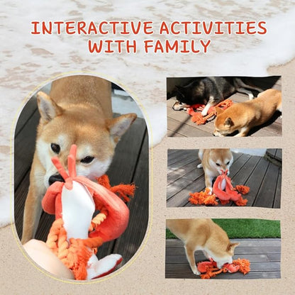 Large Squeaky Dog Toys, Tough Plush Lobster with Rope Tug of War for Puppy, Small, Medium, Large Dogs, Interactive Stuffed Chew Toy to Keep Them Busy