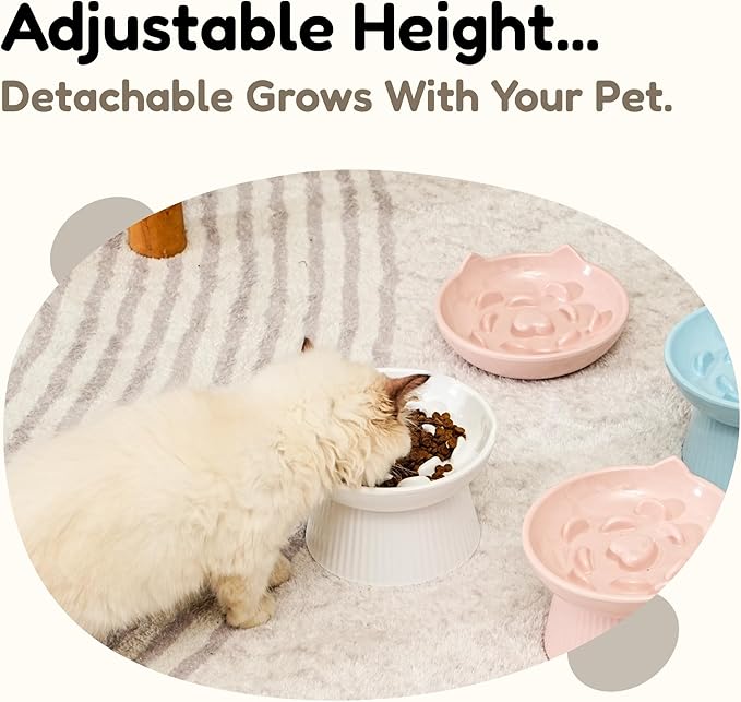 Unbreakable Raised Slow Feeder Bowl for Cats and Small Dogs, Elevated Cat Bowls, Detachable Slow Feede Bowl, Heavy Weighted, Non-Slip Feeder, Dry & Wet Food, Whisker Friendly Flat Plates (White