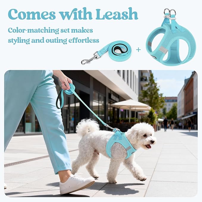 rabbitgoo Dog Harness Small Sized and Leash Set, Step in Soft Light Puppy Vest, Breathable Mesh Pet Harness, Reflective for Safe Easy Walking, Mint Blue XXS