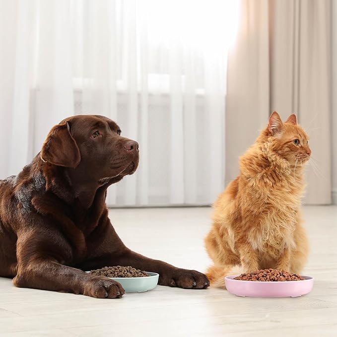 Nitial 2 Pcs Cat Slow Feeder Bowl Fish Pool Design Feeder Dish Fun Interactive Cat Food Bowl Healthy Eating Diet Bowls for Pet Puppy Dogs Dishwasher Safe(Green, Pink)