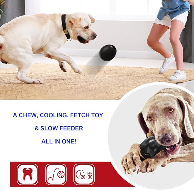 GOLDROC Interactive Treat Dispensing Dog Toy with Cooling Feature – Durable Chew Toy for Aggressive Chewers, Fun Fetch, Dishwasher Safe (Black)
