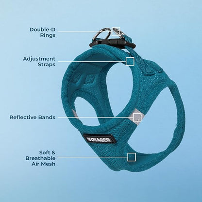 Best Pet Supplies Voyager Step-in Air Harness - All Weather Mesh, Reflective, No Pull Harness for Dogs, Cats - Secure with Hook & Loop Fastener, Buckle, Double D-Rings - Turquoise, XL