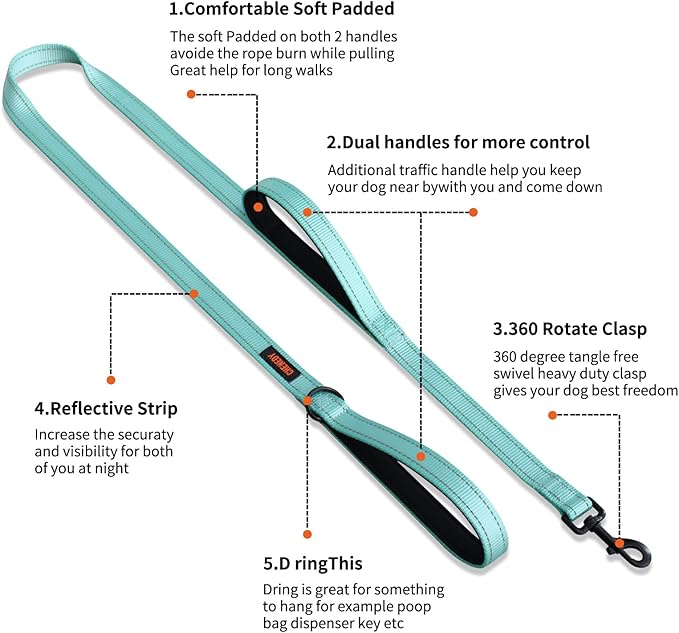 Heavy Duty Dog Leash with 2 Handles - 6ft Reflective Anti-Pull Leash for Large Dogs, Padded Traffic Handle for Control, Durable Nylon Training Lead (Black)