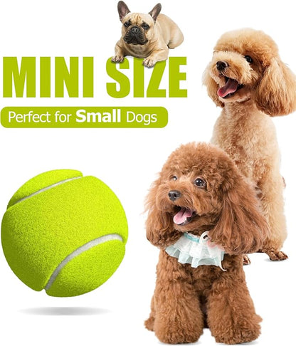 10 Pack Small Tennis Balls for Dogs, Easy Catching Pet Balls for Exercise and Fetch, 2-inch Dog Tennis Ball, Interactive Toys