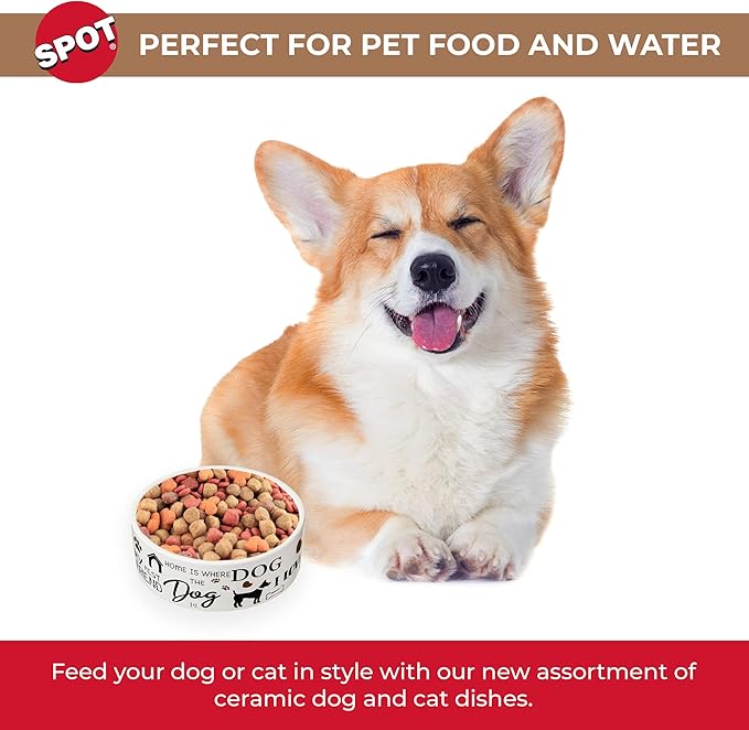 SPOT I Love Dogs Dish -Round Ceramic Food/Water Bowl with High Walls for Pets, Dishwasher Safe, Ideal for Small Dogs, Cats, Reptiles, Large Birds, 5in, 1.75 Cup (14oz)