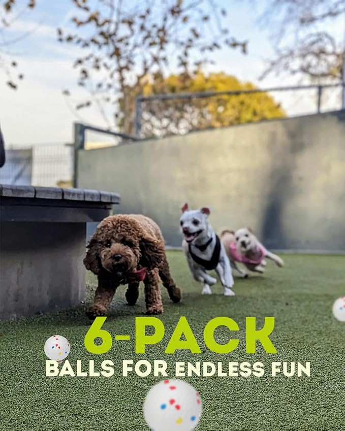 2.5" Dog Balls for Automatic Dog Ball Launcher, Remote Control Ball Thrower for Dogs (6-Pack)