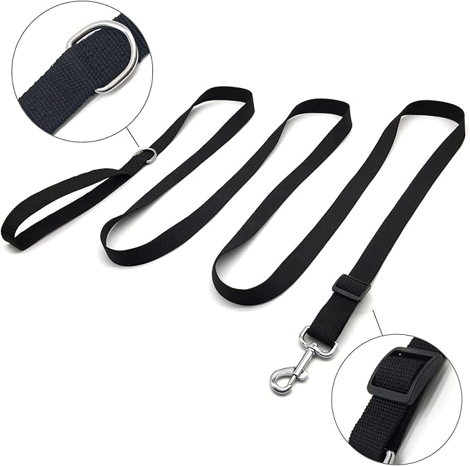 TAIAN Adjustable Nylon Dog Leash, 10 Foot Long Dog Leashes for Medium Large Dogs